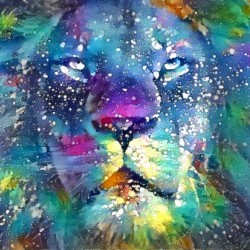 Splatter Lion